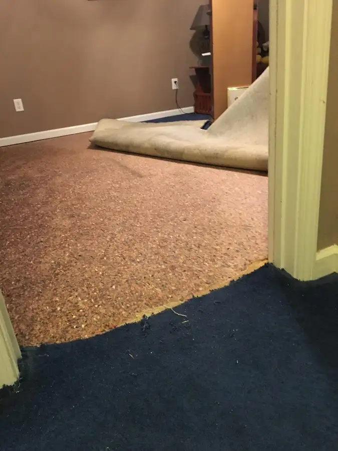 Carpet pad removal revealing water damage during Drying & Dehumidification in Bridgeton