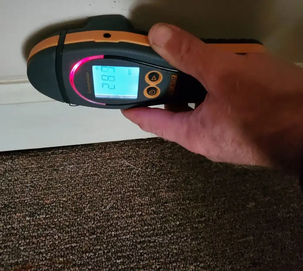 Moisture detection at baseboard during Mold Inspection & Testing in Bridgeton